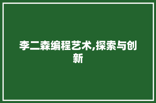 李二森编程艺术,探索与创新