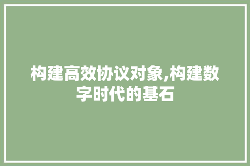 构建高效协议对象,构建数字时代的基石