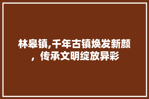 林皋镇,千年古镇焕发新颜，传承文明绽放异彩