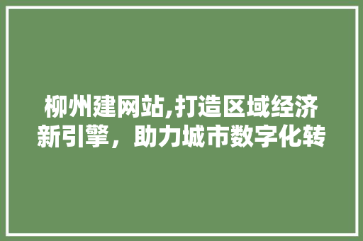 柳州建网站,打造区域经济新引擎，助力城市数字化转型