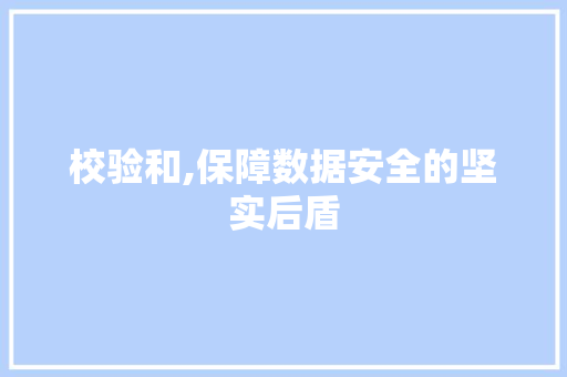 校验和,保障数据安全的坚实后盾