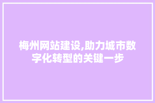 梅州网站建设,助力城市数字化转型的关键一步