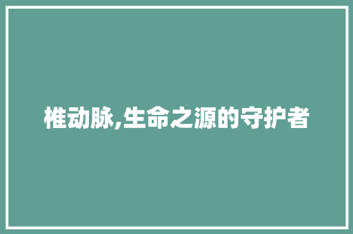 椎动脉,生命之源的守护者