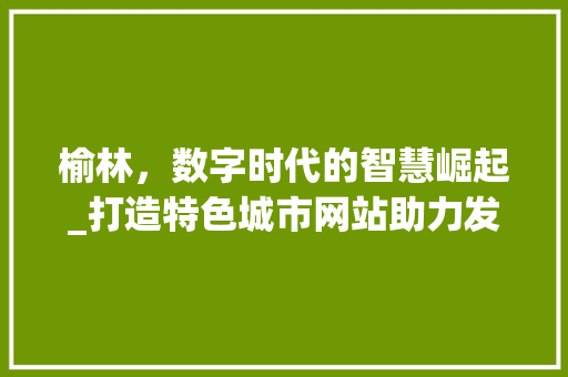 榆林，数字时代的智慧崛起_打造特色城市网站助力发展