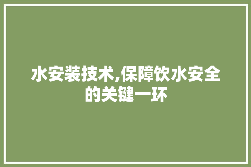 水安装技术,保障饮水安全的关键一环