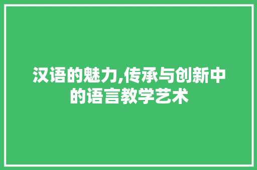 汉语的魅力,传承与创新中的语言教学艺术