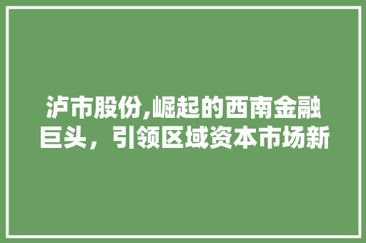 泸市股份,崛起的西南金融巨头，引领区域资本市场新篇章