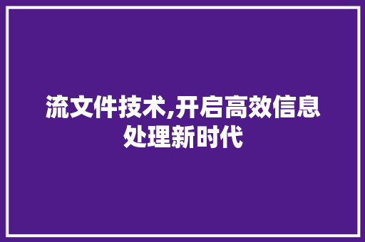 流文件技术,开启高效信息处理新时代