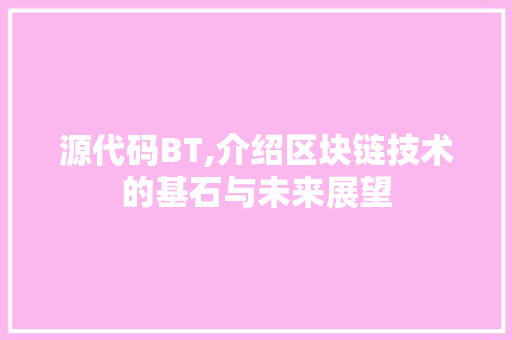 源代码BT,介绍区块链技术的基石与未来展望