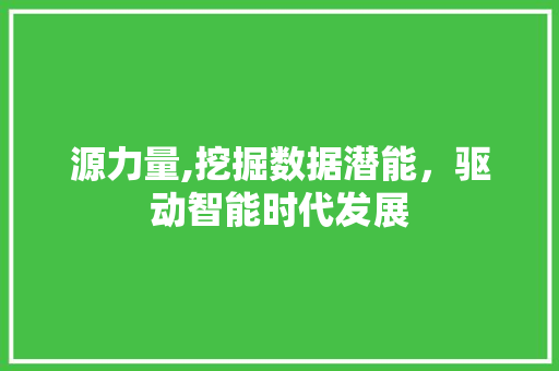 源力量,挖掘数据潜能，驱动智能时代发展