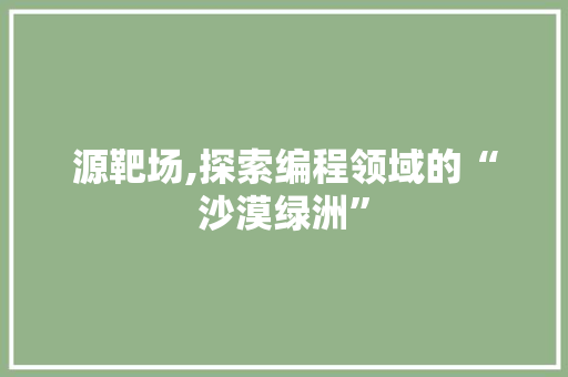 源靶场,探索编程领域的“沙漠绿洲”