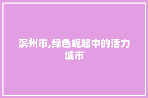 滨州市,绿色崛起中的活力城市