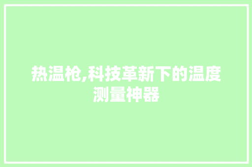 热温枪,科技革新下的温度测量神器