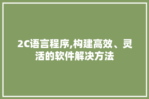 2C语言程序,构建高效、灵活的软件解决方法