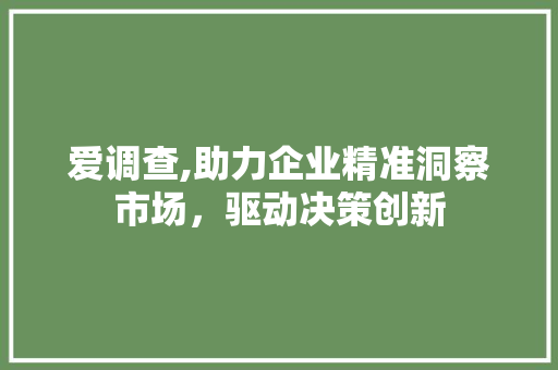 爱调查,助力企业精准洞察市场，驱动决策创新