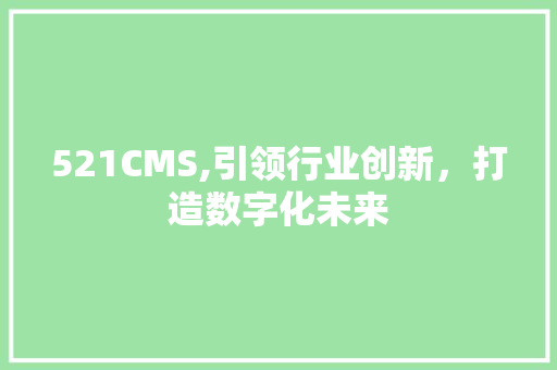 521CMS,引领行业创新，打造数字化未来