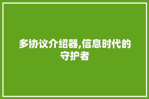 多协议介绍器,信息时代的守护者