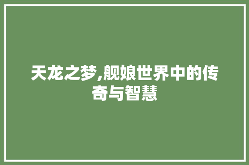 天龙之梦,舰娘世界中的传奇与智慧