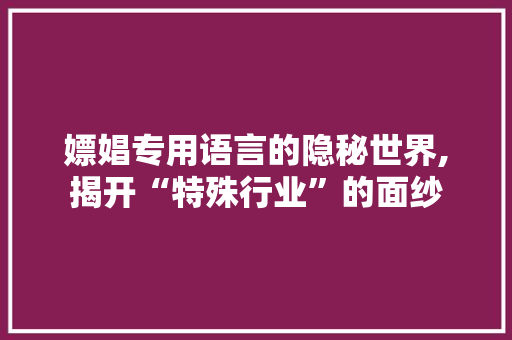 嫖娼专用语言的隐秘世界,揭开“特殊行业”的面纱