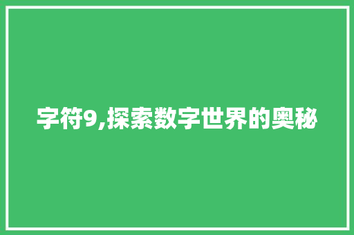 字符9,探索数字世界的奥秘