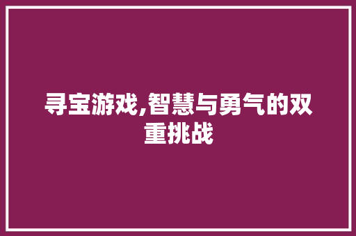 寻宝游戏,智慧与勇气的双重挑战