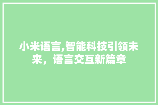 小米语言,智能科技引领未来，语言交互新篇章