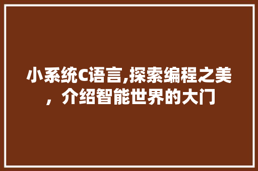 小系统C语言,探索编程之美，介绍智能世界的大门