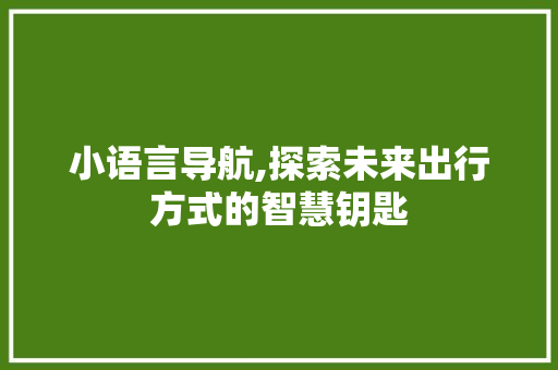 小语言导航,探索未来出行方式的智慧钥匙