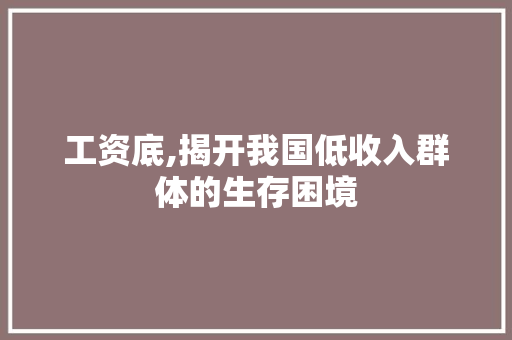 工资底,揭开我国低收入群体的生存困境