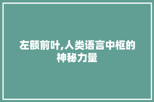 左额前叶,人类语言中枢的神秘力量