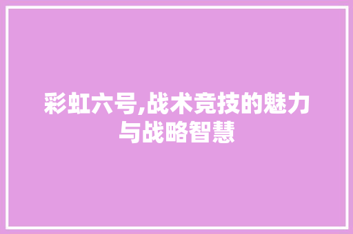 彩虹六号,战术竞技的魅力与战略智慧