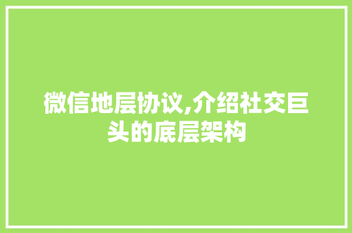 微信地层协议,介绍社交巨头的底层架构