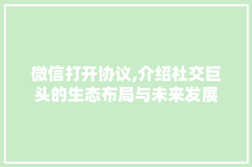 微信打开协议,介绍社交巨头的生态布局与未来发展