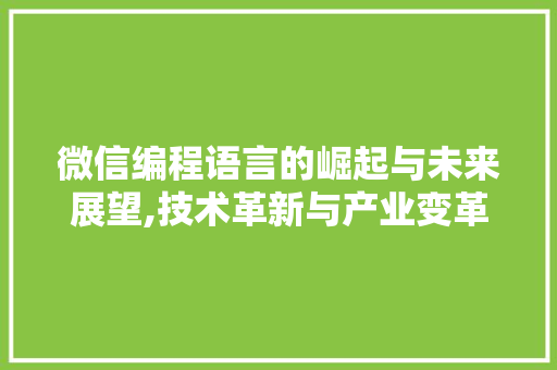 微信编程语言的崛起与未来展望,技术革新与产业变革的助推器