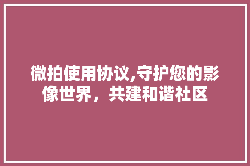 微拍使用协议,守护您的影像世界，共建和谐社区