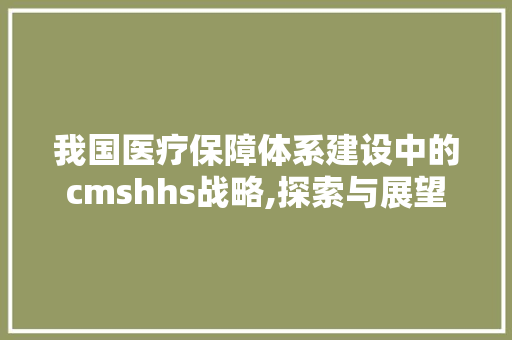 我国医疗保障体系建设中的cmshhs战略,探索与展望