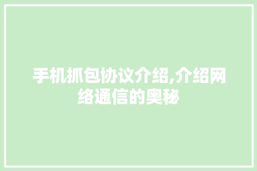 手机抓包协议介绍,介绍网络通信的奥秘