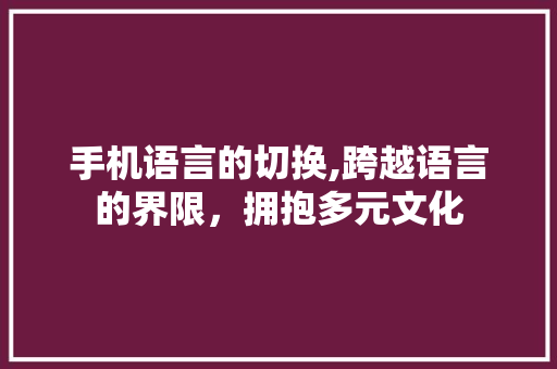 手机语言的切换,跨越语言的界限，拥抱多元文化