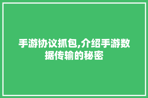 手游协议抓包,介绍手游数据传输的秘密