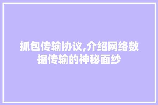 抓包传输协议,介绍网络数据传输的神秘面纱