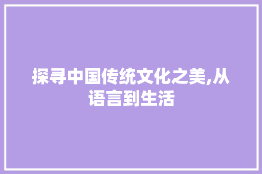 探寻中国传统文化之美,从语言到生活