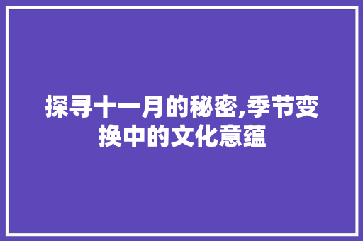 探寻十一月的秘密,季节变换中的文化意蕴