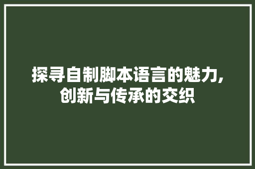 探寻自制脚本语言的魅力,创新与传承的交织