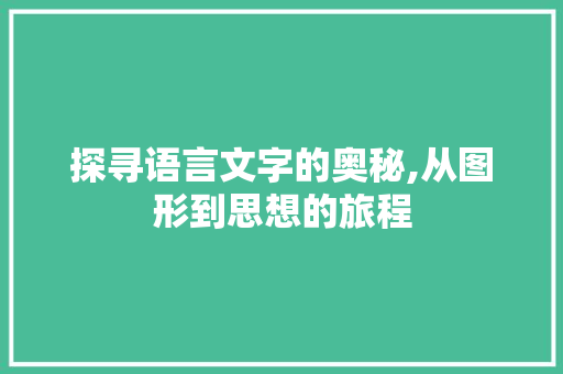 探寻语言文字的奥秘,从图形到思想的旅程