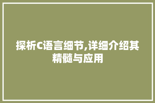 探析C语言细节,详细介绍其精髓与应用