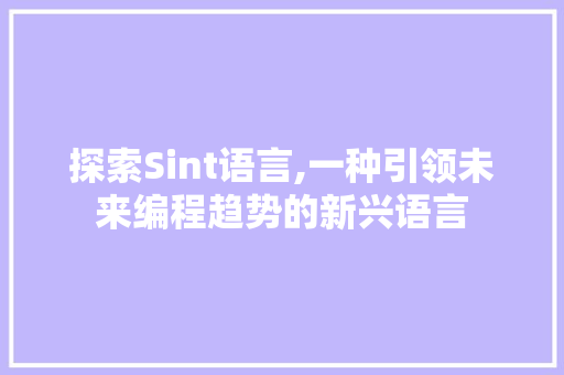 探索Sint语言,一种引领未来编程趋势的新兴语言