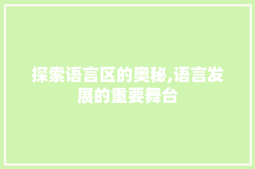 探索语言区的奥秘,语言发展的重要舞台