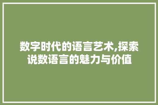 数字时代的语言艺术,探索说数语言的魅力与价值