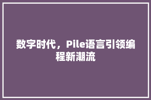 数字时代，Pile语言引领编程新潮流