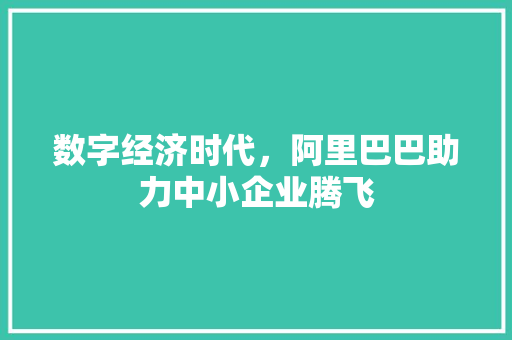 数字经济时代，阿里巴巴助力中小企业腾飞